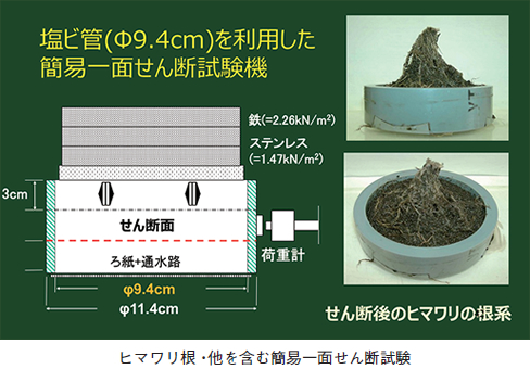 インタビュー画像