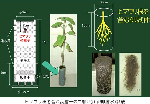 インタビュー画像